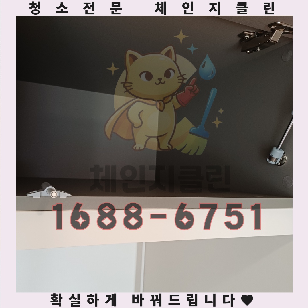 당신의 원룸에 숨어있는 보이지 않는 손님들