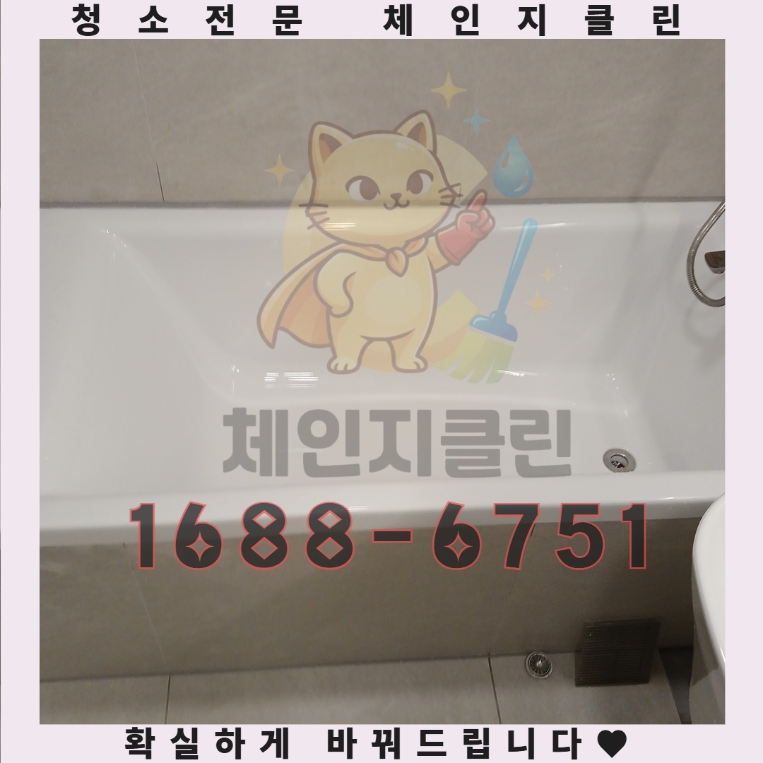 청소 후 느껴지는 주방의 변화를 직접 체험해보세요