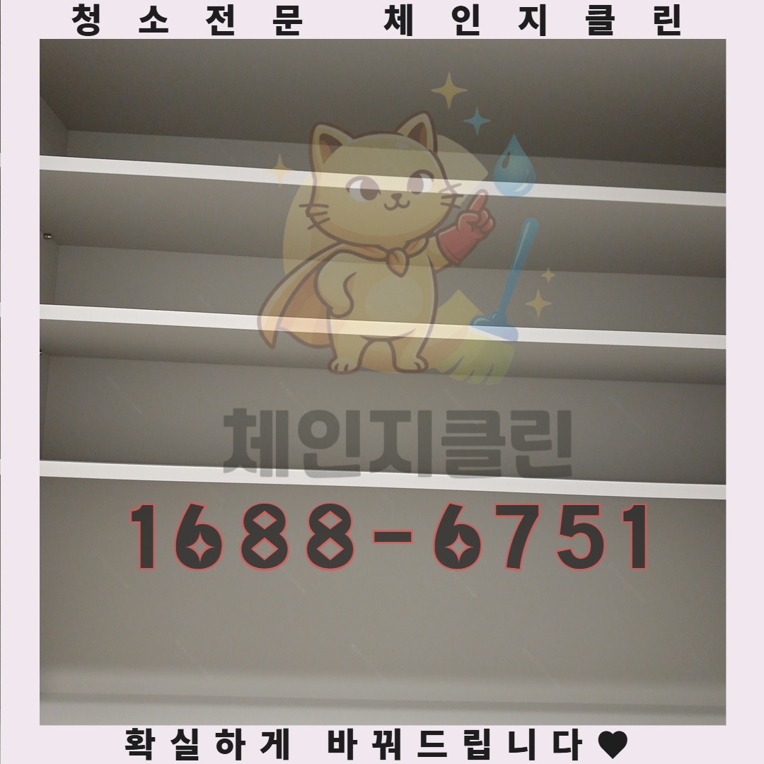인천에서 반려동물의 냄새가 사라지는 마법 같은 방법