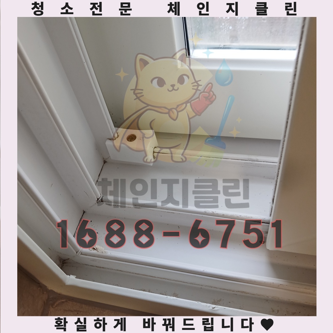 입주 청소 없이 겪는 후회, 상상 이상의 불편함