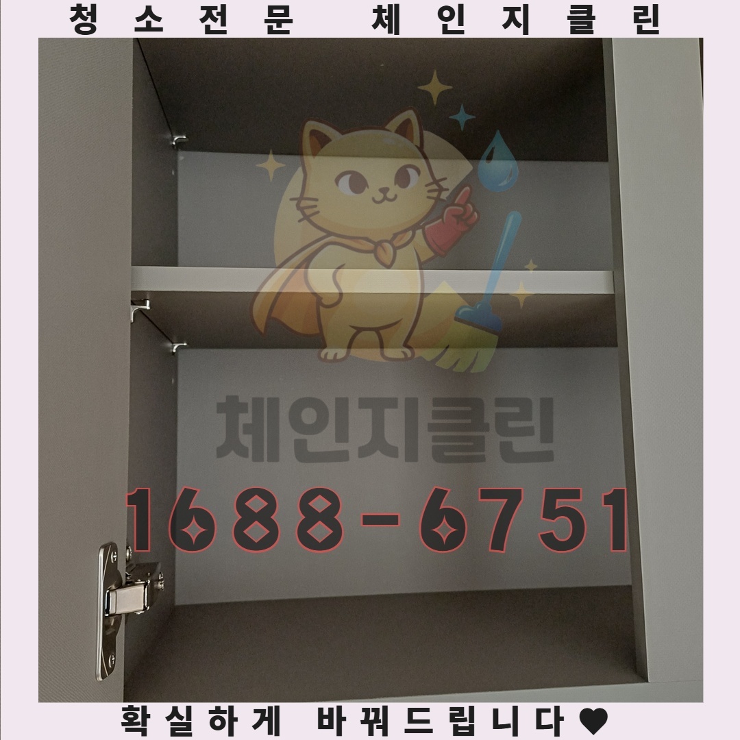 이사청소의 진정한 목적, 당신의 건강을 지키는 방법