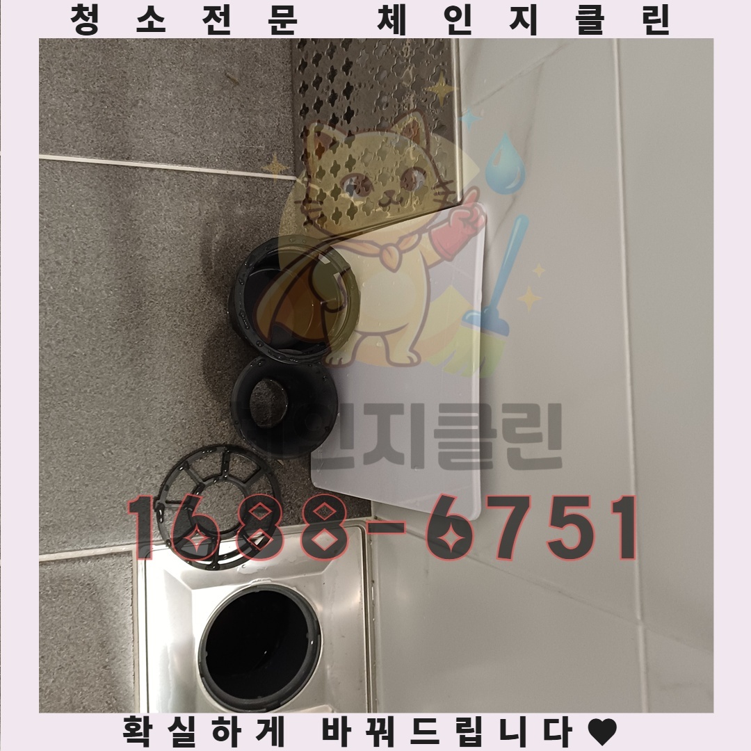 입주청소 후 숨겨진 세균과 오염물질, 그 해결책은
