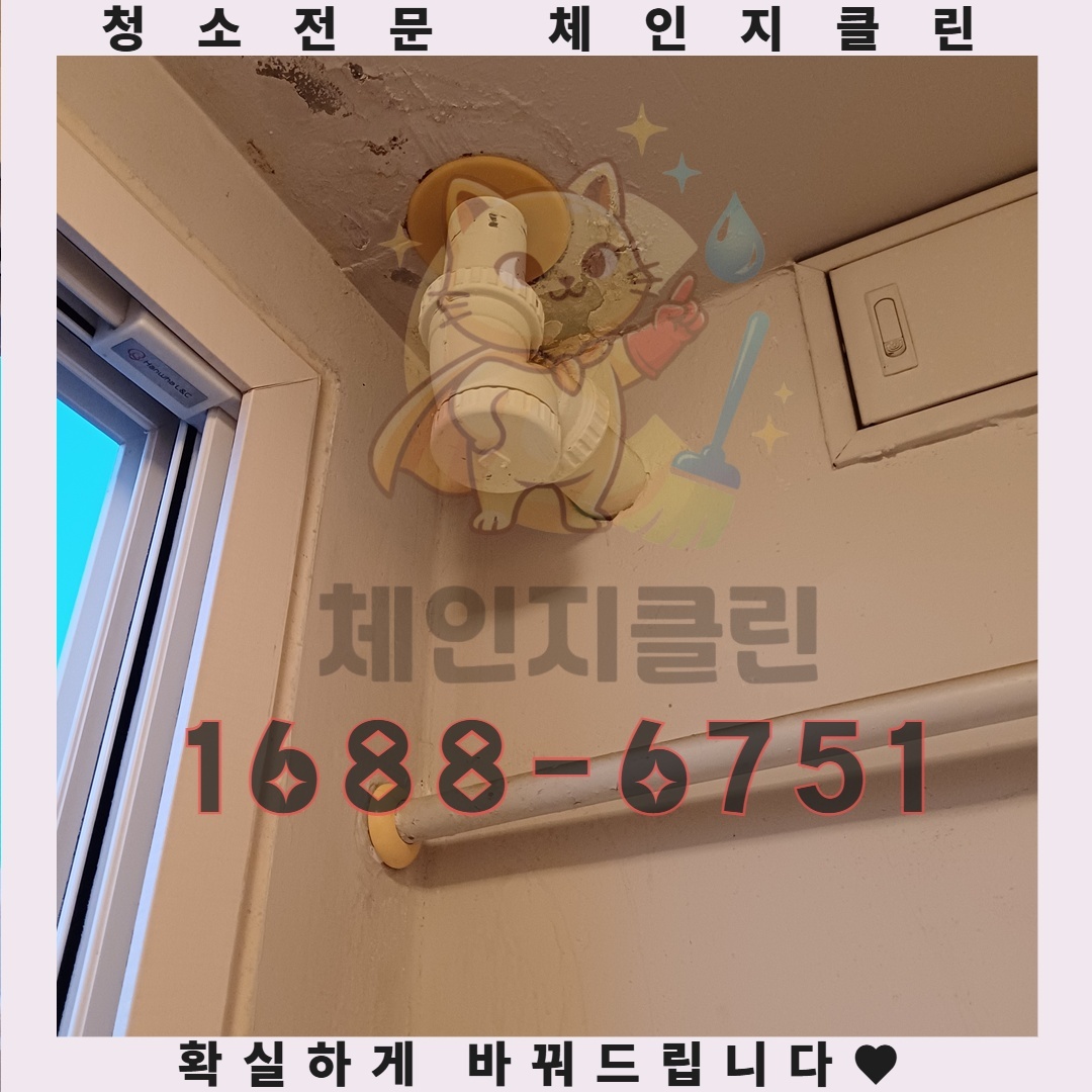 이사청소 없이 발생할 수 있는 원룸 사태