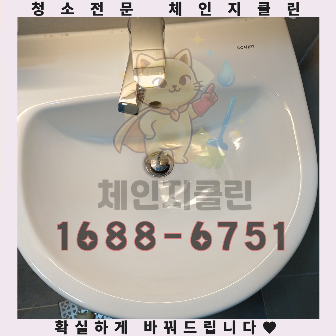 당신의 원룸, 단순한 공간이 아닌 삶의 질을 높이는 선택