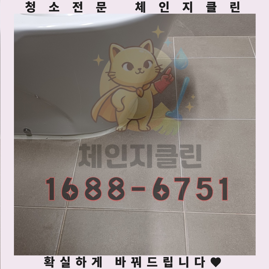 연수구 이사청소, 왜 전문가의 손길이 필요한가