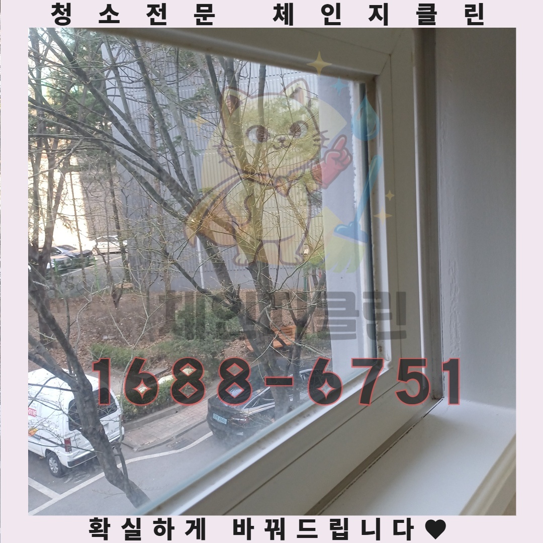 전문가가 전하는 입주청소 후 유지 관리 팁