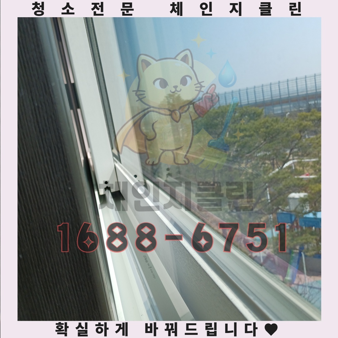 원룸 청소의 때늦은 후회, 지금이 바로 해결해야 할 순간