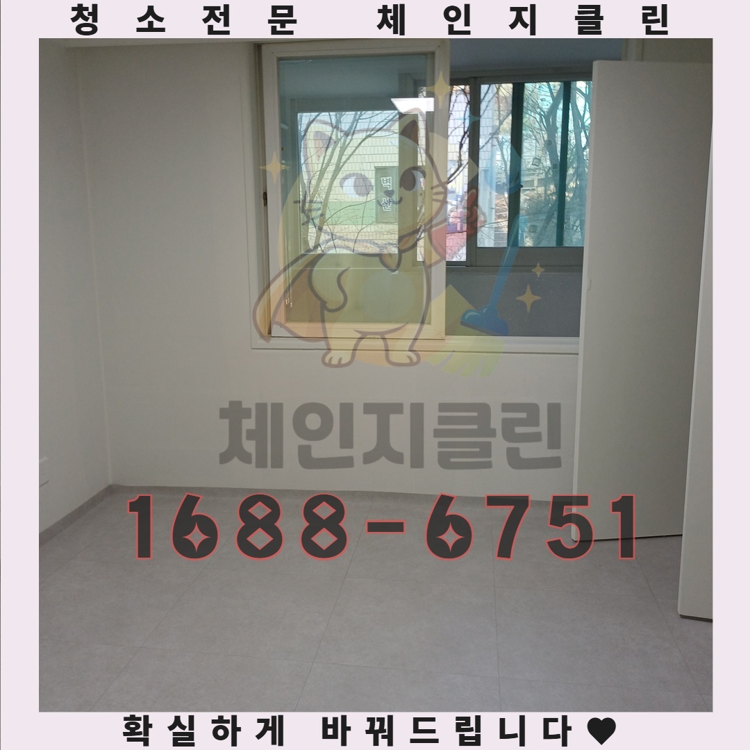 이사 후 집안이 반짝이는 이유, 숨겨진 청소의 마법
