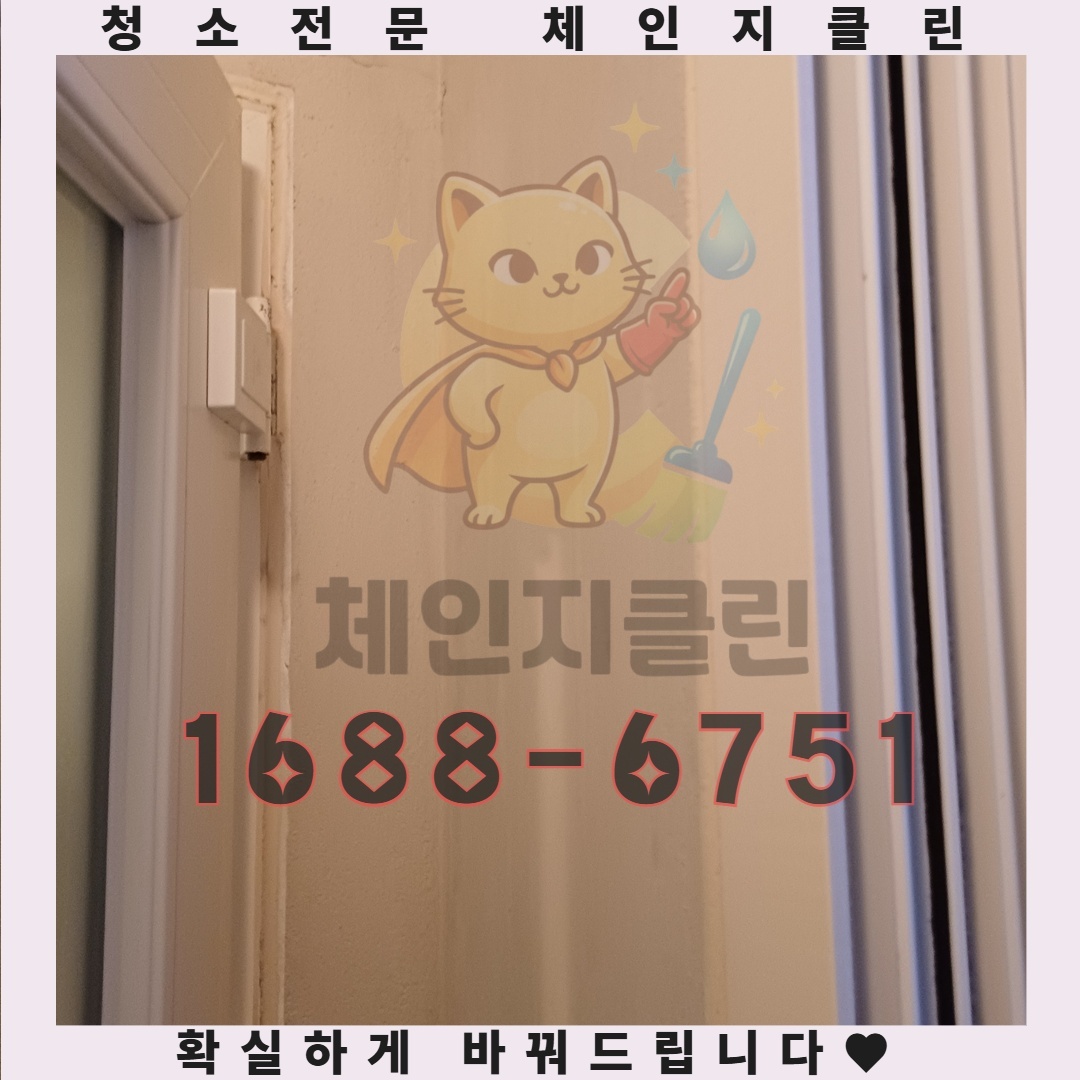 이사청소, 전문가에게 맡기지 않으면 겪게 되는 고통