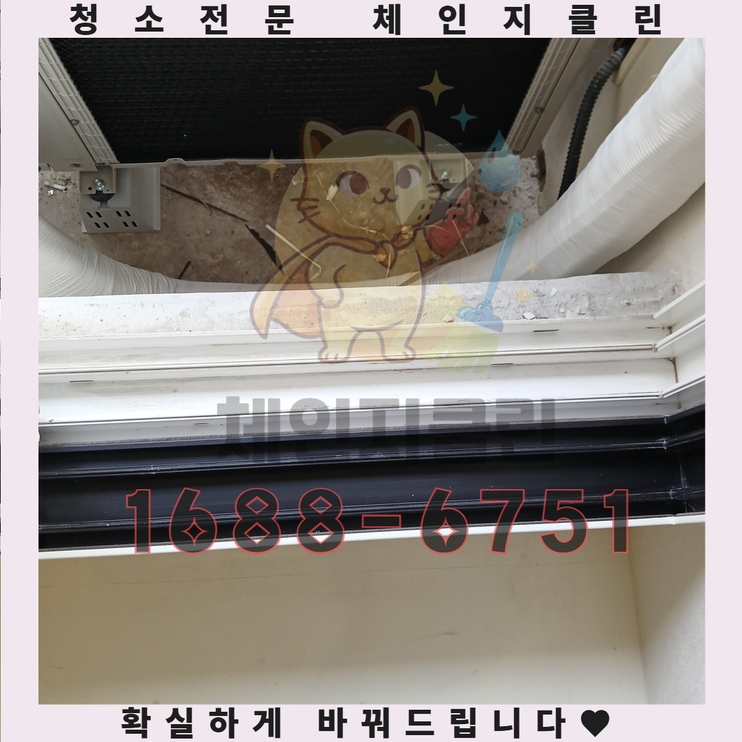 당신의 집, 반려동물 냄새의 잠재적인 원인을 알고 계신가요