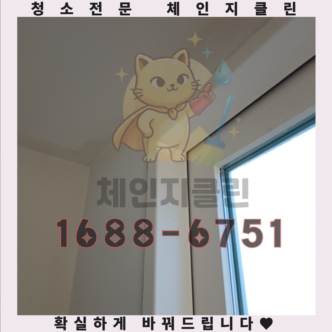 당신의 원룸이 새 생명을 얻는 가장 확실한 방법