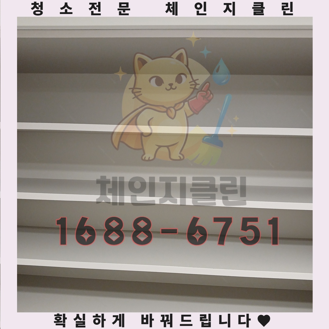 청소하지 않으면 발생하는 의외의 건강 위험
