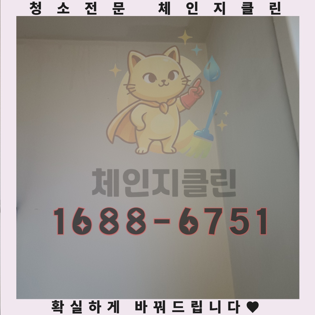 이사청소 패키지의 진짜 가치, 시간과 노력을 절약하는 방법