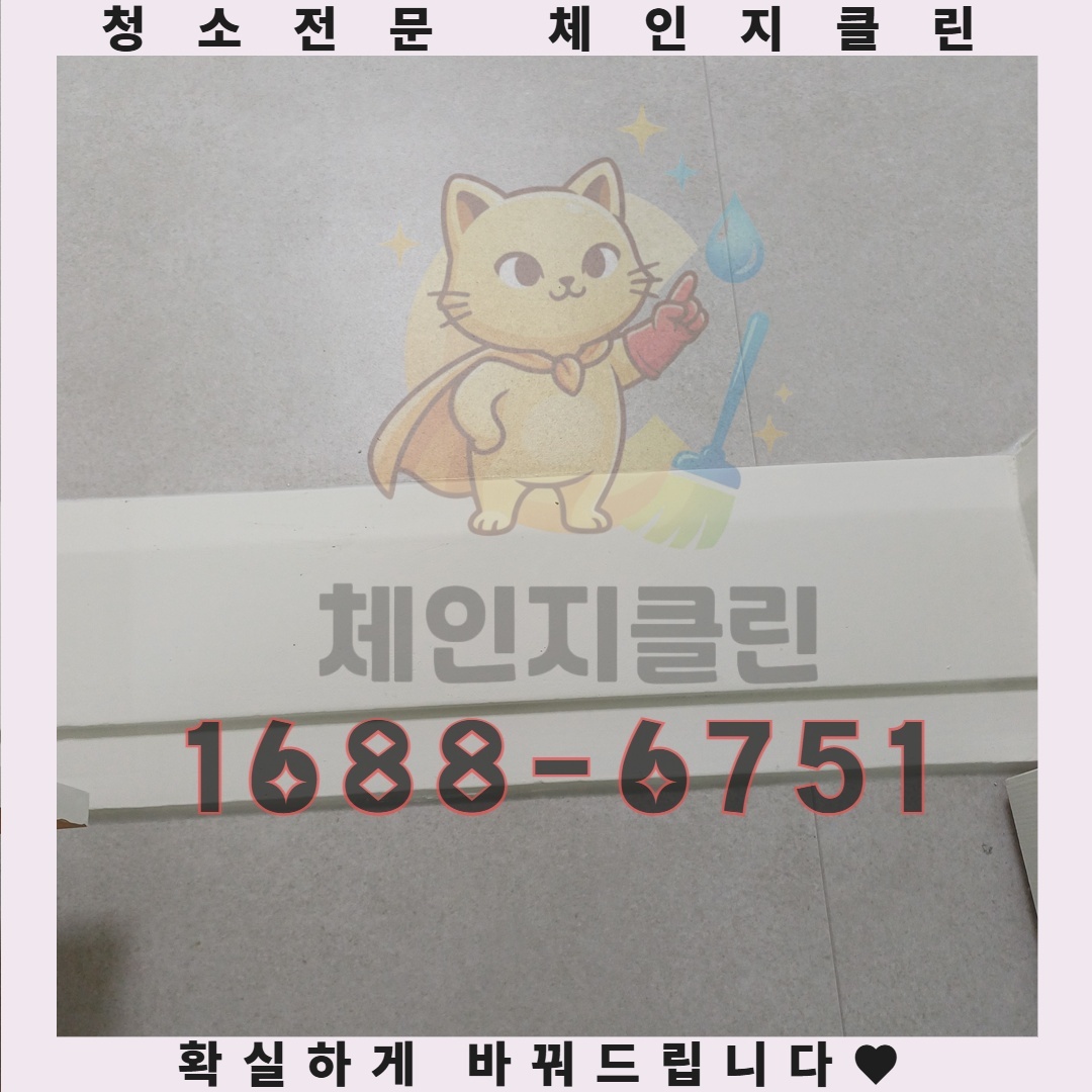 숨겨진 먼지 한 톨까지 놓치지 않는 비밀