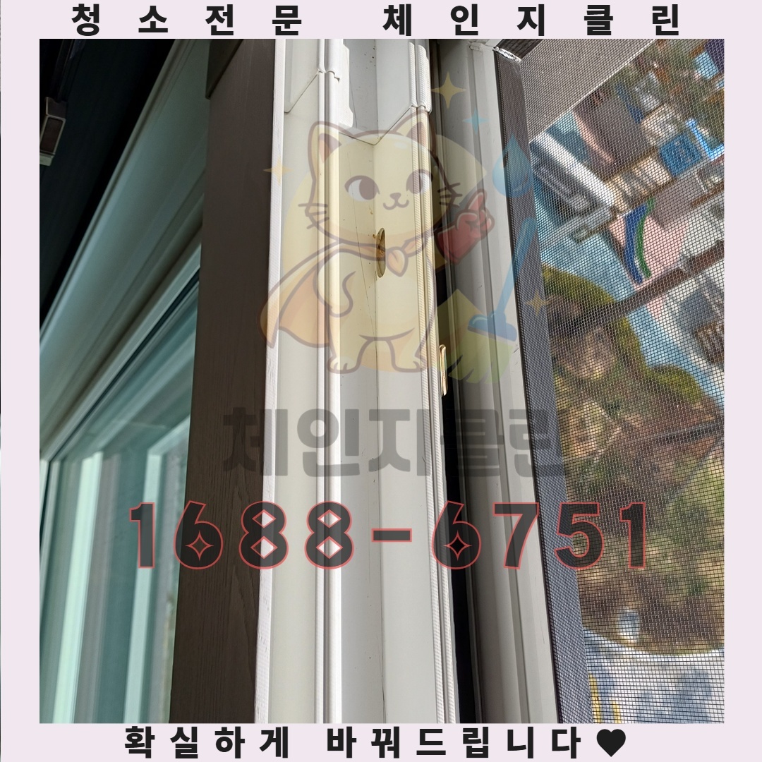 만원 아끼려다 백만원 손해 보는 원룸 청소의 함정