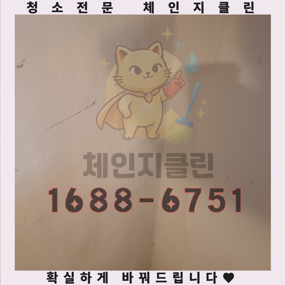 청소 후에도 자꾸만 쌓이는 먼지, 근본적인 해결책은 없을까요