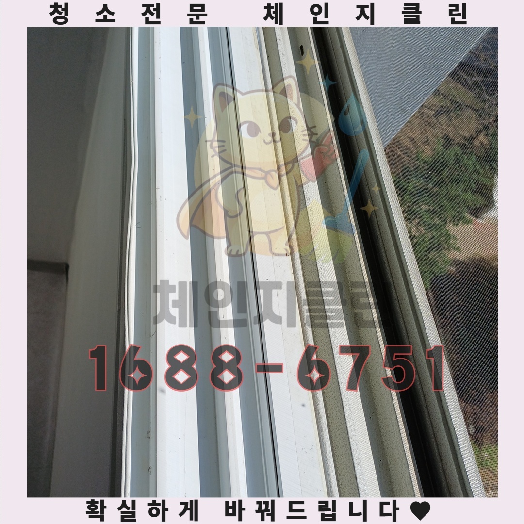초보자는 절대 모르는 원룸 속 숨겨진 오염 지도