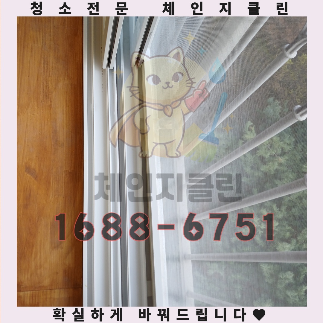 전문가가 말하는 이사 후 청소의 진정한 가치, 당신이 놓치고 있는 부분은 무엇인가