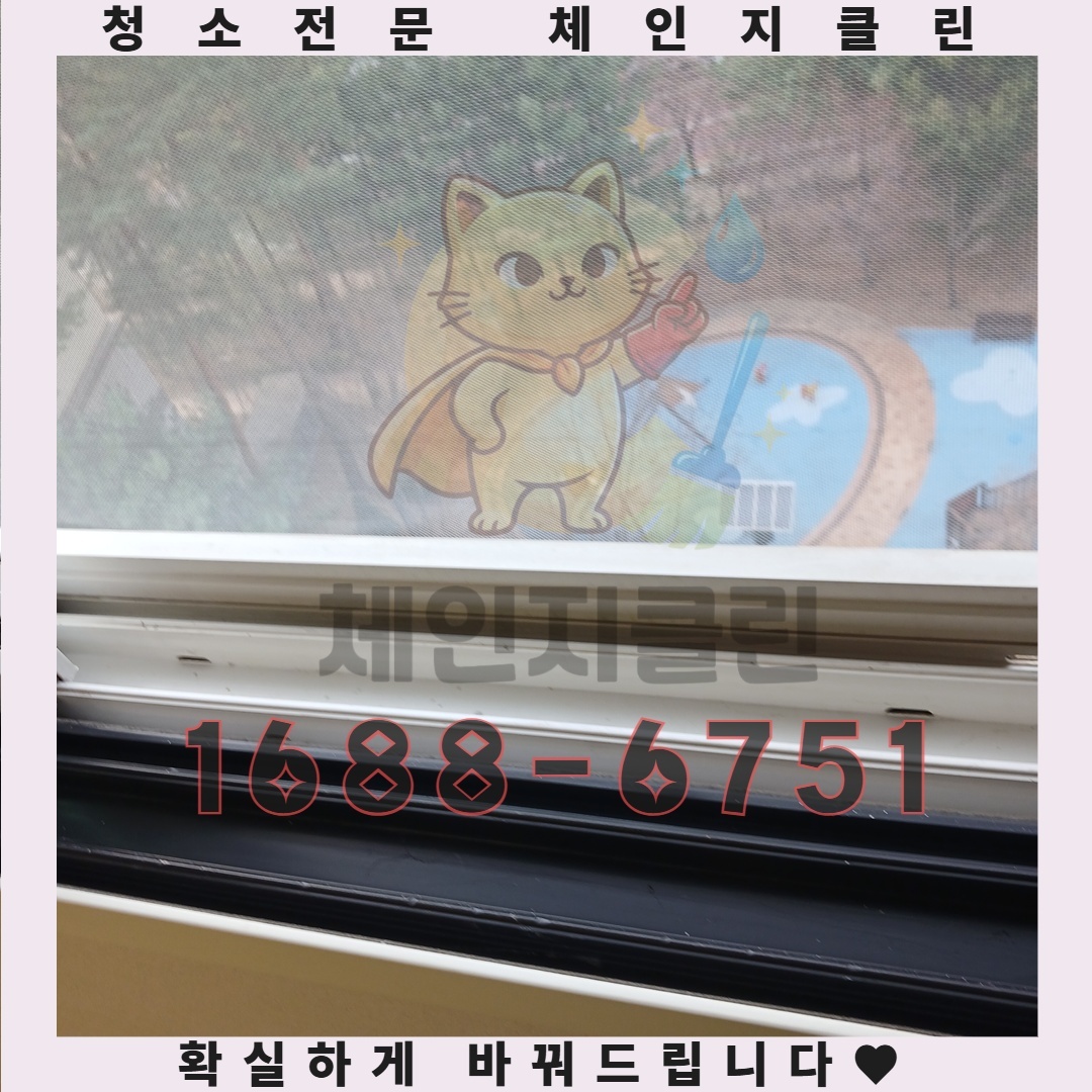 특수청소가 필요한 순간, 당신의 집을 지키는 숨은 영웅들  