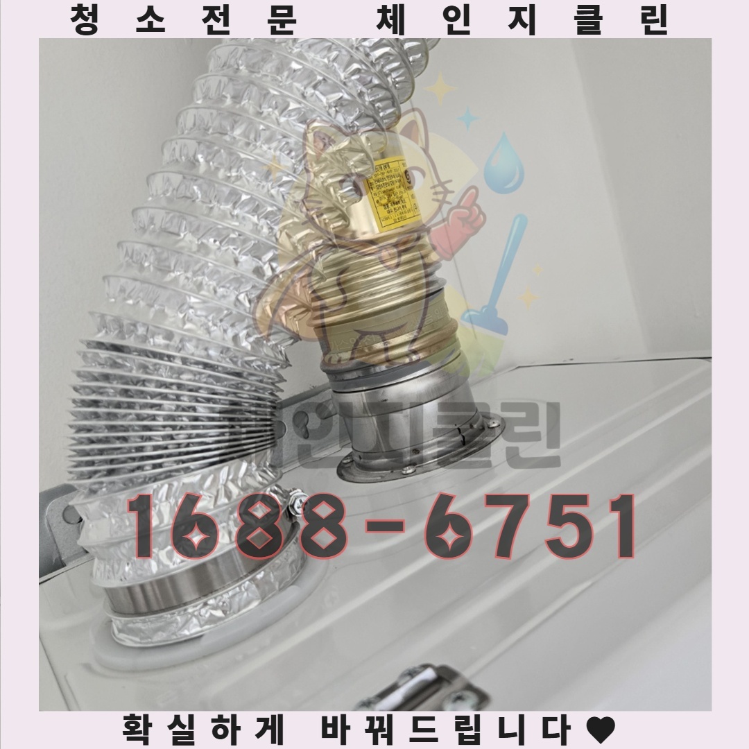 친환경 세제가 제공하는 숨겨진 청소 효과