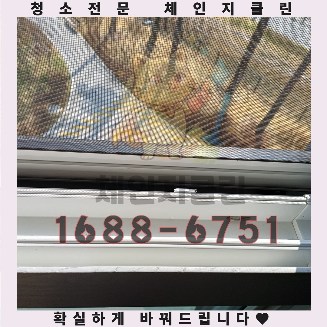 전문가가 추천하는 반려동물 냄새 제거의 숨겨진 해결책