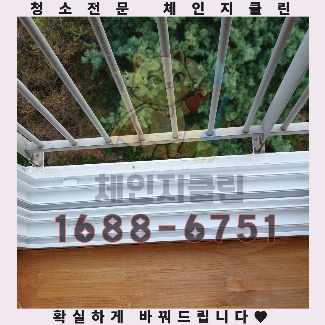이사 후 청소, 왜 전문가에게 맡겨야 할까