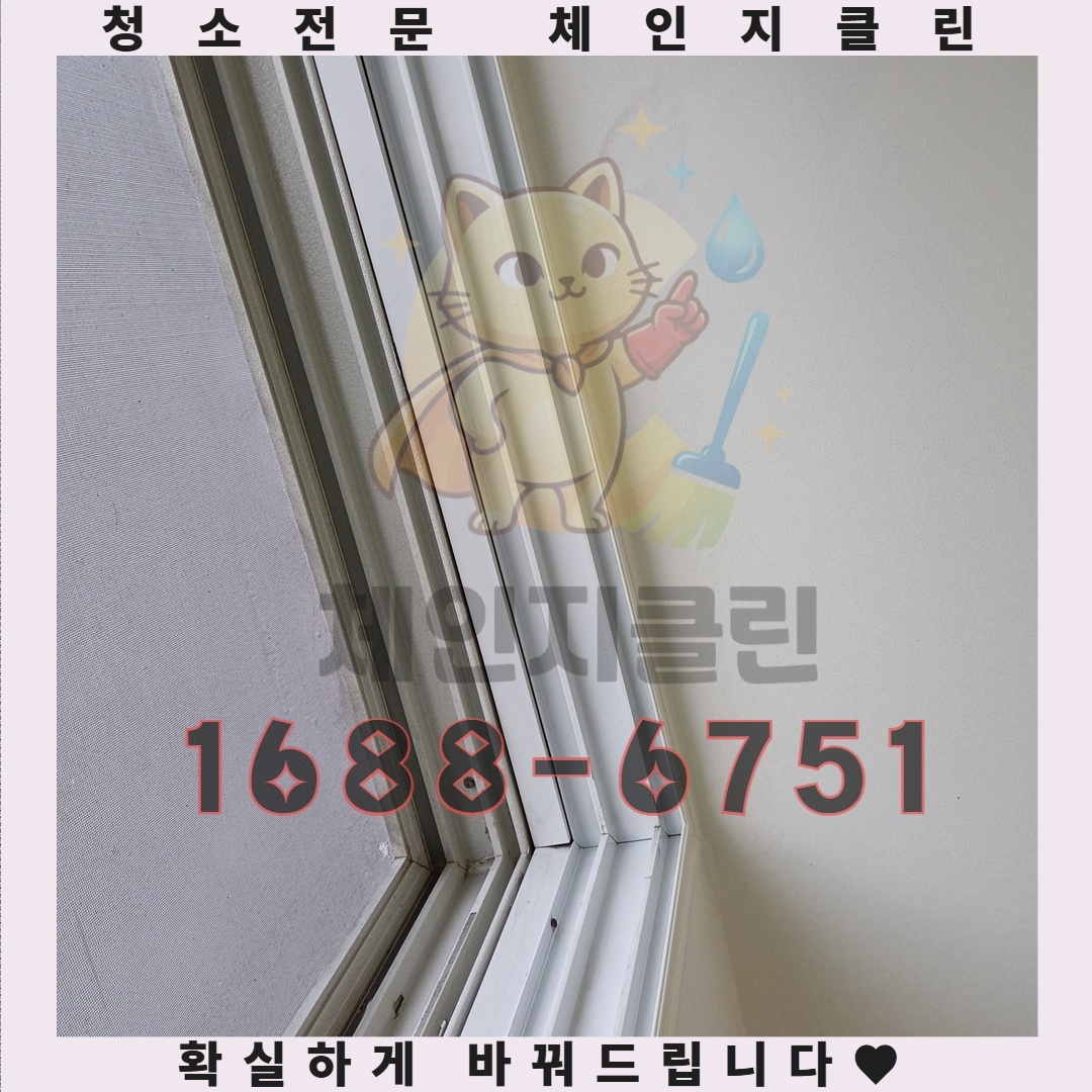 더 이상 미루지 마세요 원룸 청소가 주는 예상 밖의 선물