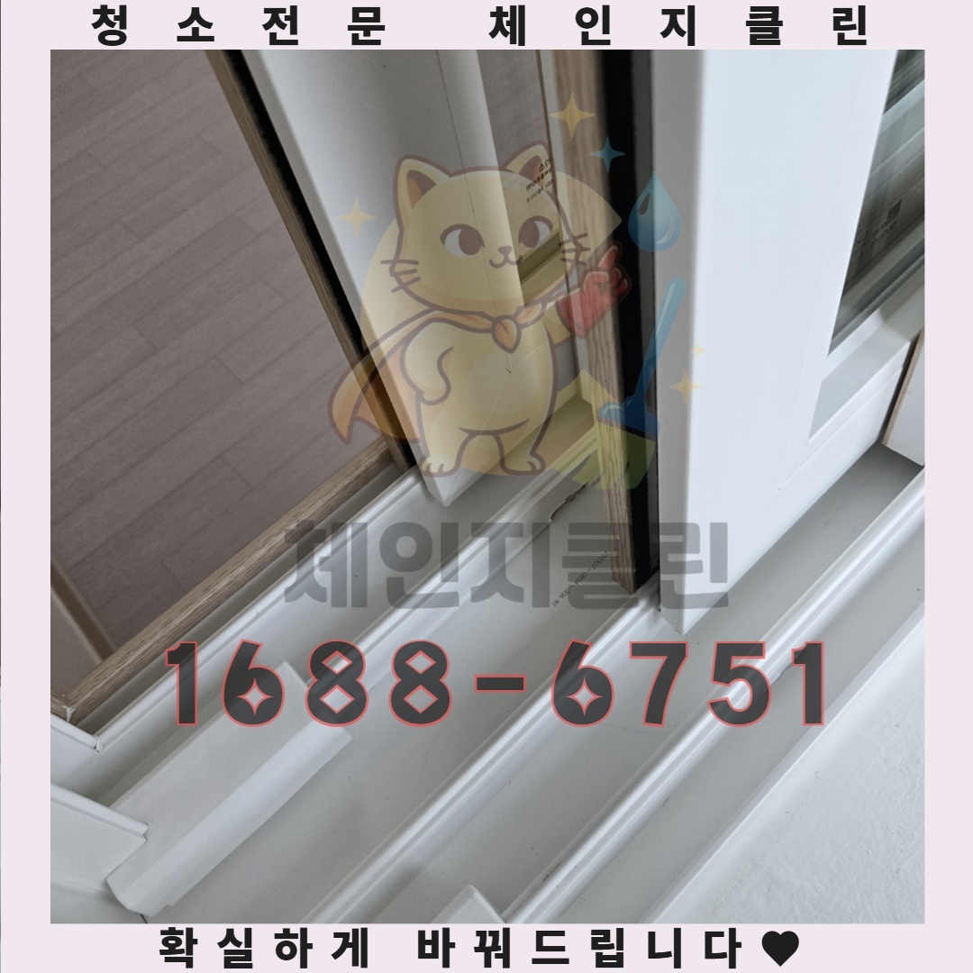 베란다의 곰팡이, 당신이 모르는 심각한 문제