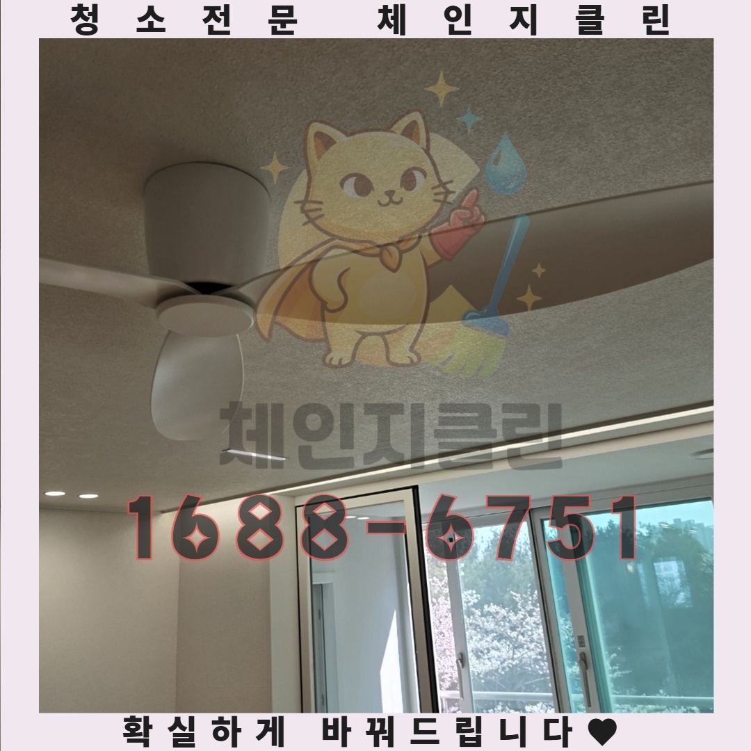 원룸 청소 후 느끼는 불쾌한 냄새의 진짜 원인