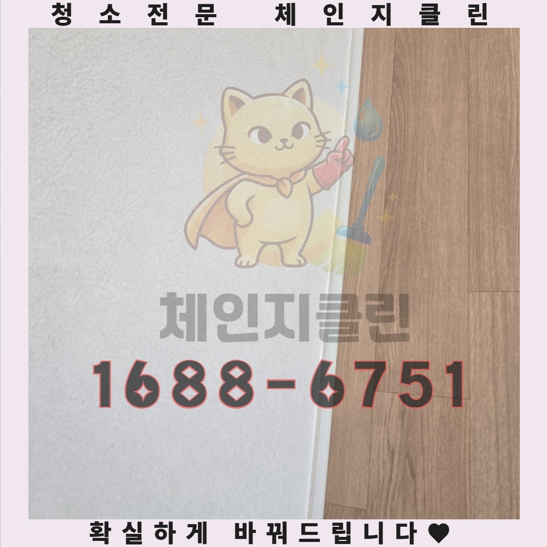 원룸에서 불쾌한 냄새가 난다면, 단순히 환기만으로는 해결되지 않을 수 있습니다. 입주 청소를 제대로 하지 않았거나, 오래된 곰팡이나 세균이 문제의 원인일 수 있습니다. 이사청소를 통해 집안 구석구석을 청결하게 유지하고, 숨겨진 오염 물질을 제거하는 것이 중요합니다. 전문 업체의 도움을 받는 것이 빠르고 효율적인 해결책이 될 수 있습니다.