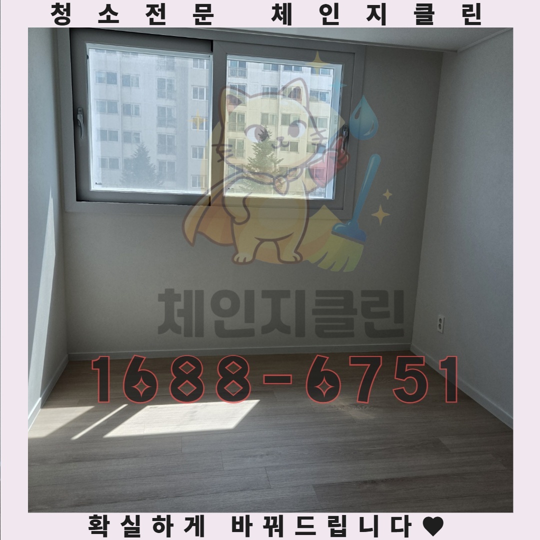 입주청소에서 발견한 놀라운 사실, 당신의 건강을 지키는 방법
