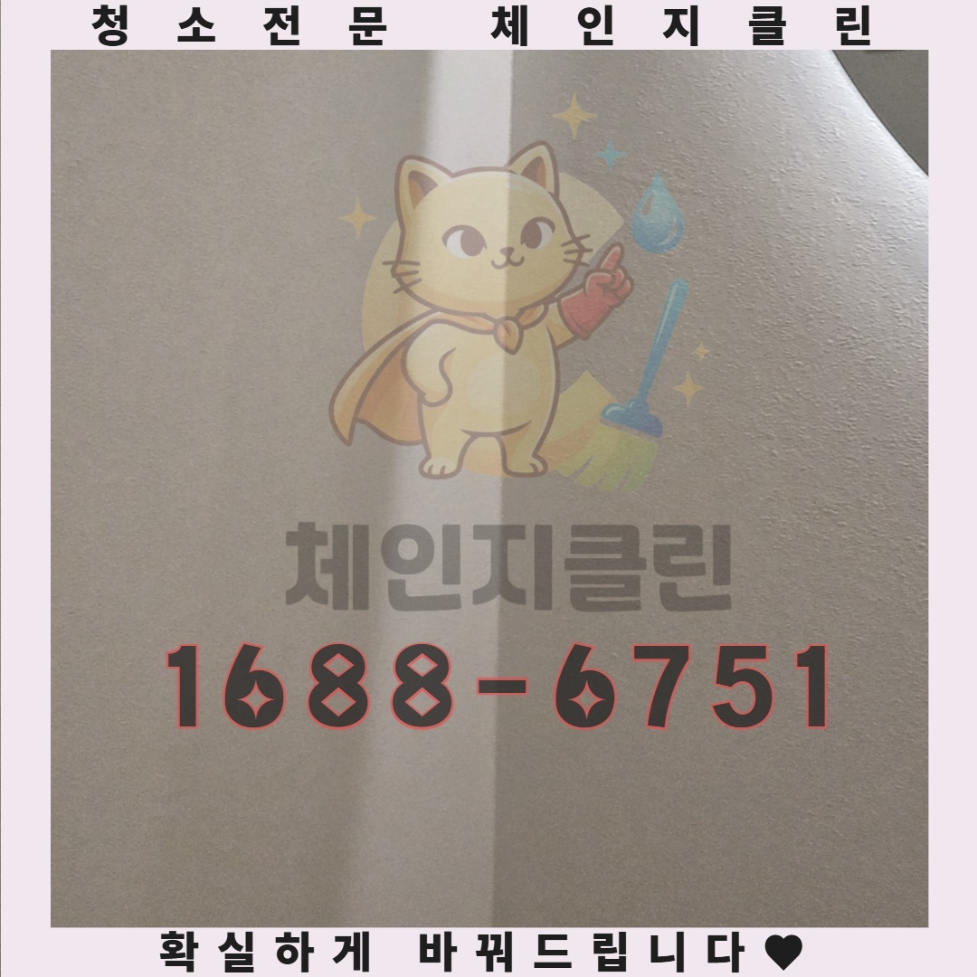 인천의 쓰레기집, 그 안에 감춰진 건강 위협의 실체