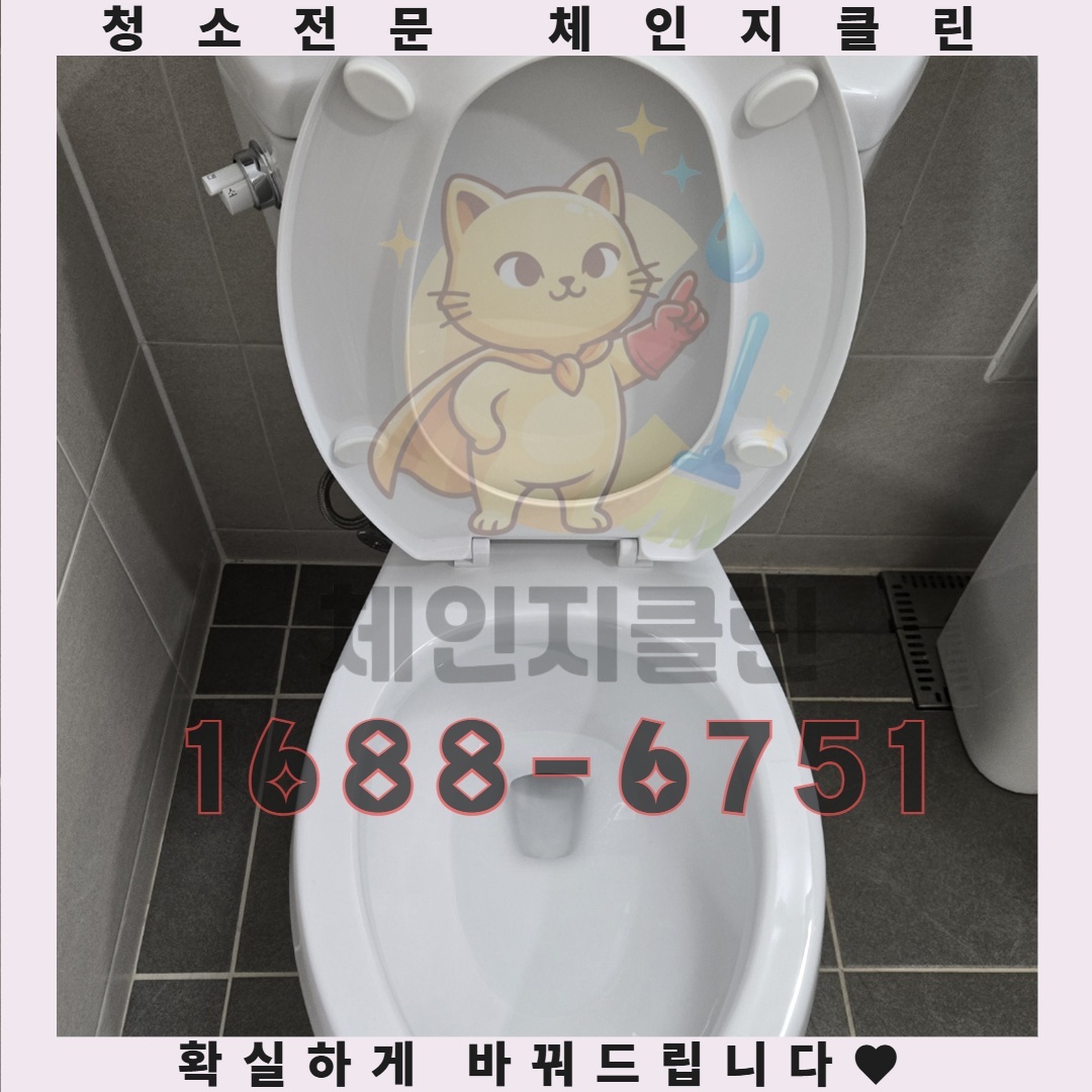 원룸청소, 당신이 알지 못했던 숨겨진 위험
