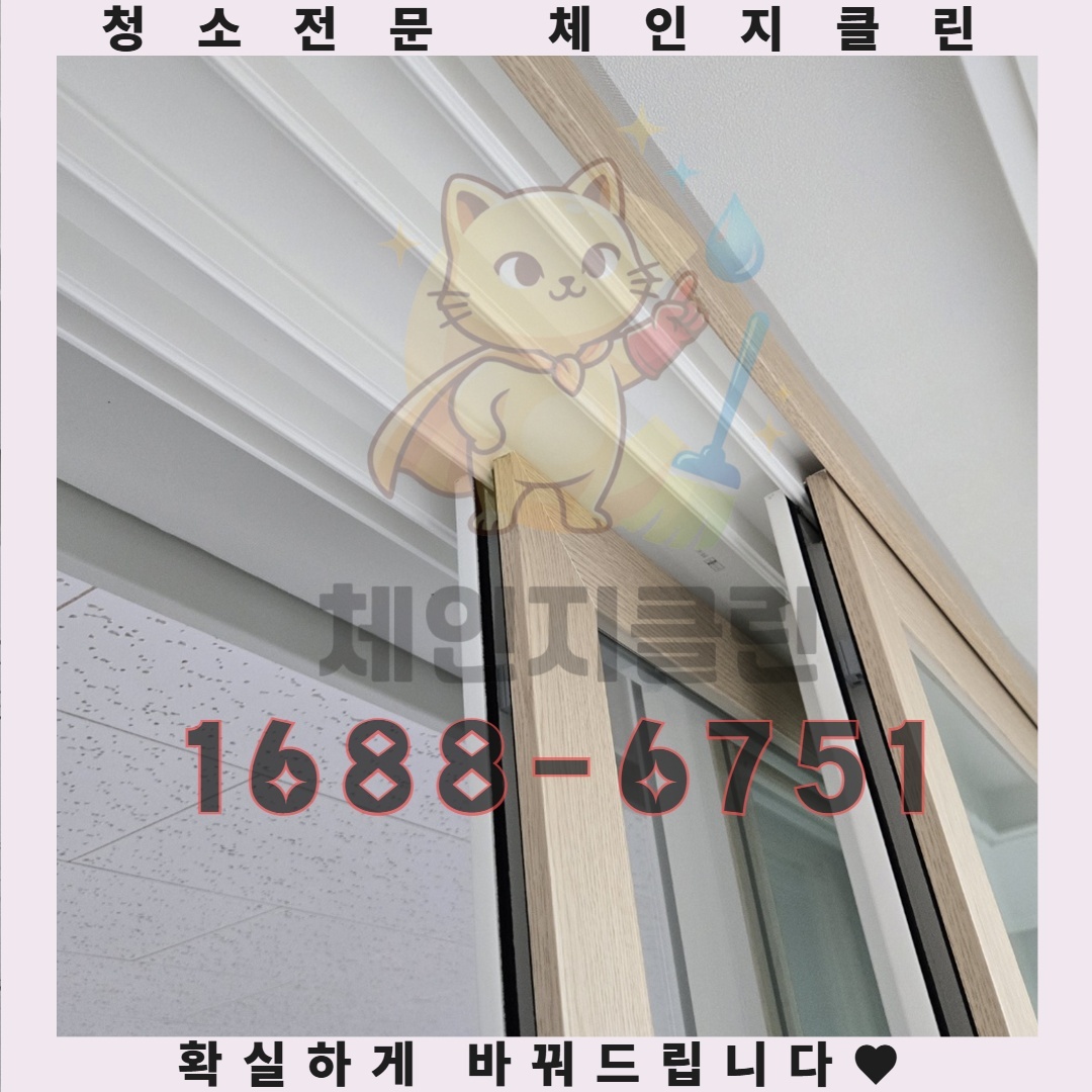 이사 후 생길 수 있는 악취 문제, 사전 예방의 중요성