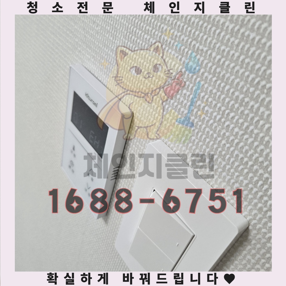 단순한 깨끗함 그 이상을 얻는 현명한 선택 기준