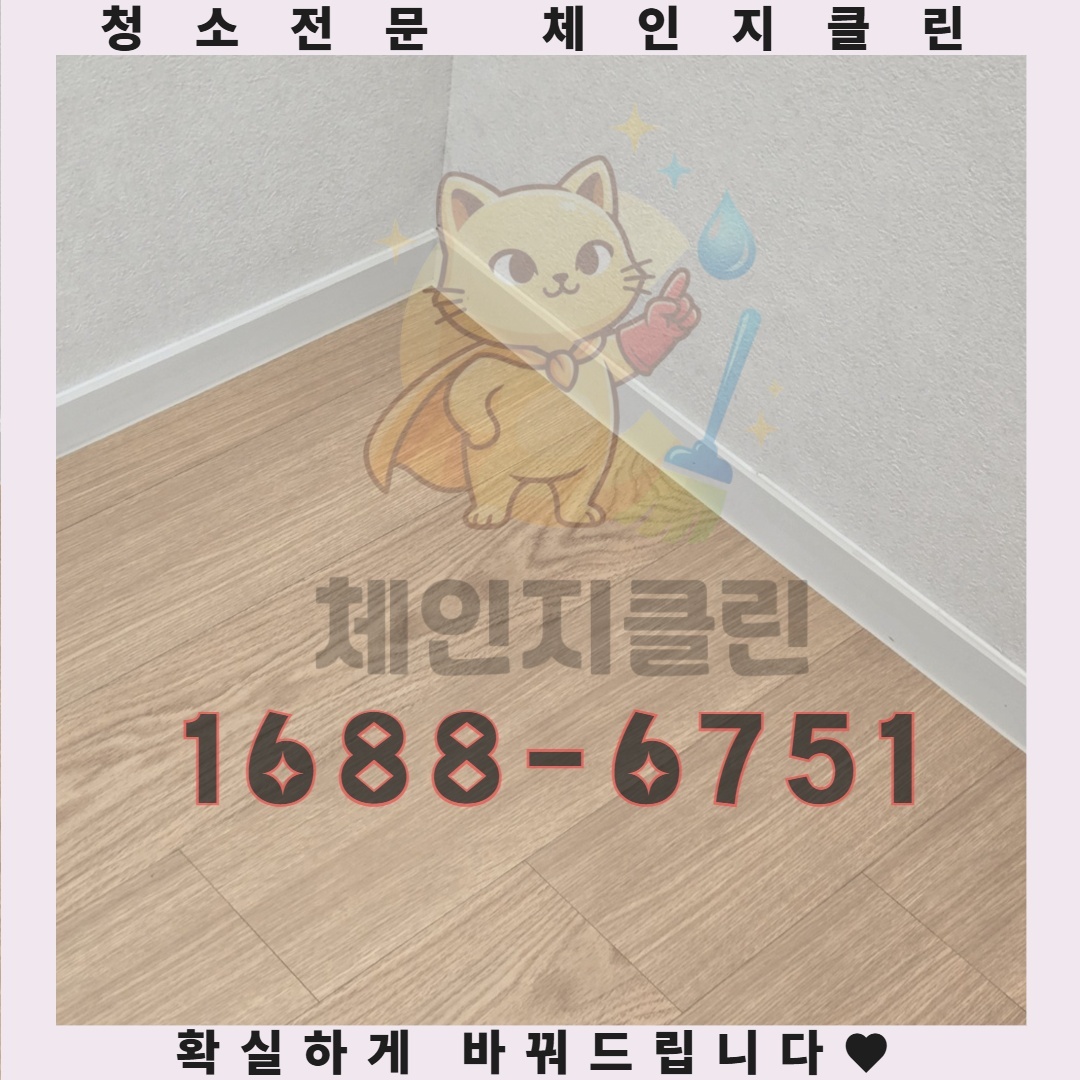 청소 후 변화하는 공간, 실제 사례로 살펴보기