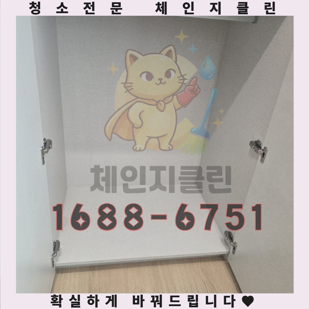 원룸이 단순한 공간이 아닌 진정한 휴식처가 되는 비밀