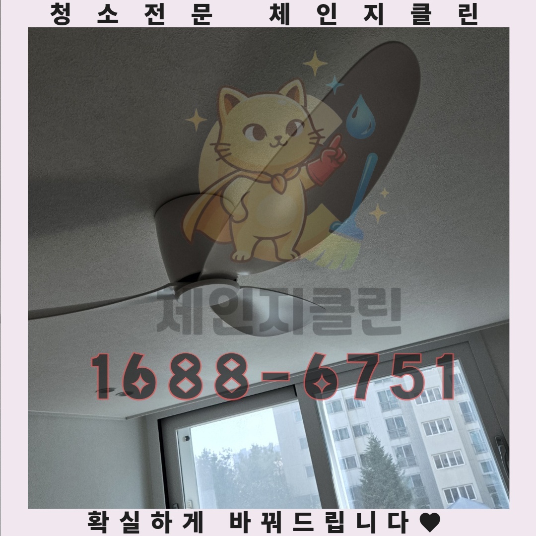 이사청소의 차별화된 접근법, 왜 전문가에게 맡겨야 하는가