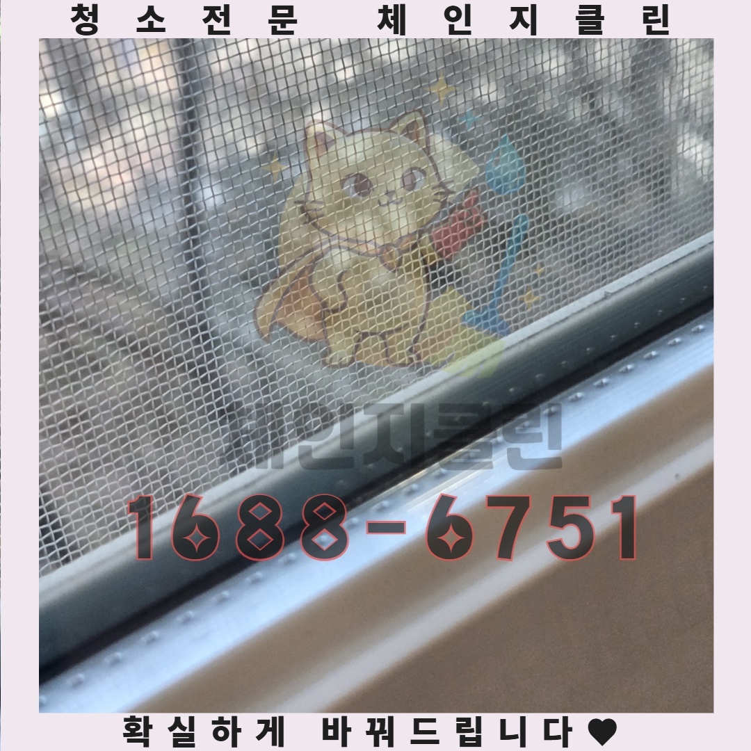 새집 증후군 뒤에 숨은 진짜 범인, 청소가 필요한 이유