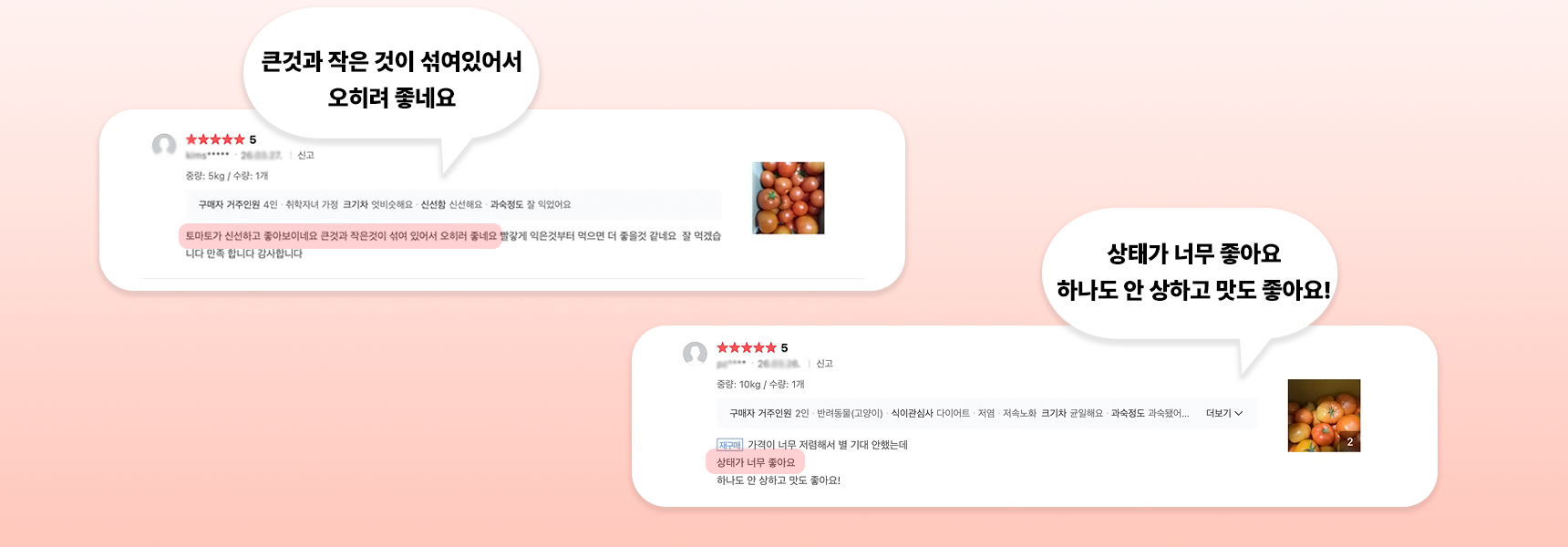 [3kg / 5kg / 10kg] 못난이 주스용 국내산 완숙토마토