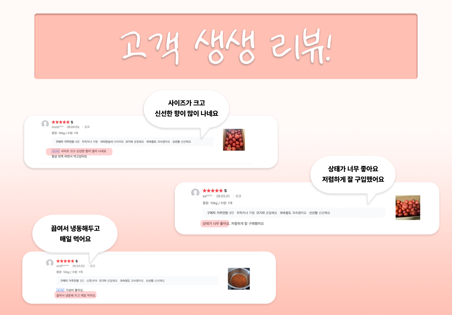 [3kg / 5kg / 10kg] 못난이 주스용 국내산 완숙토마토