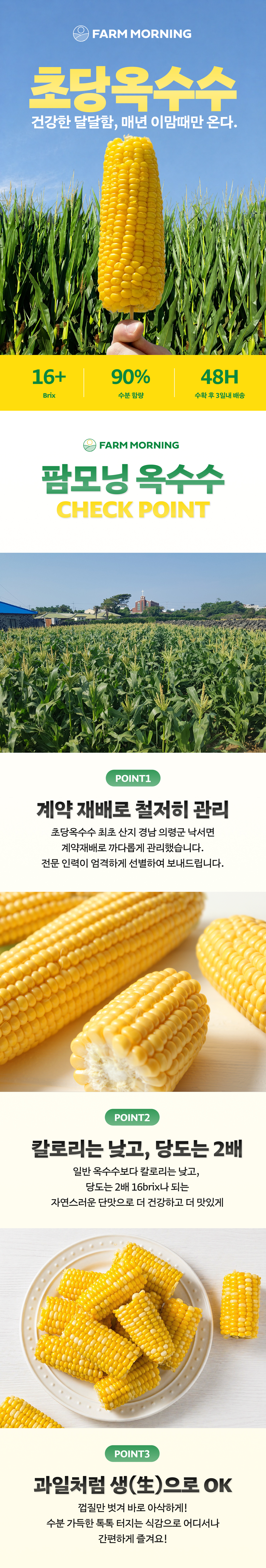 초당옥수수 PDP 1
