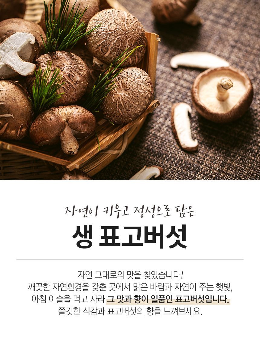 아침이슬 먹고 자란 국내산 생 표고버섯 1kg