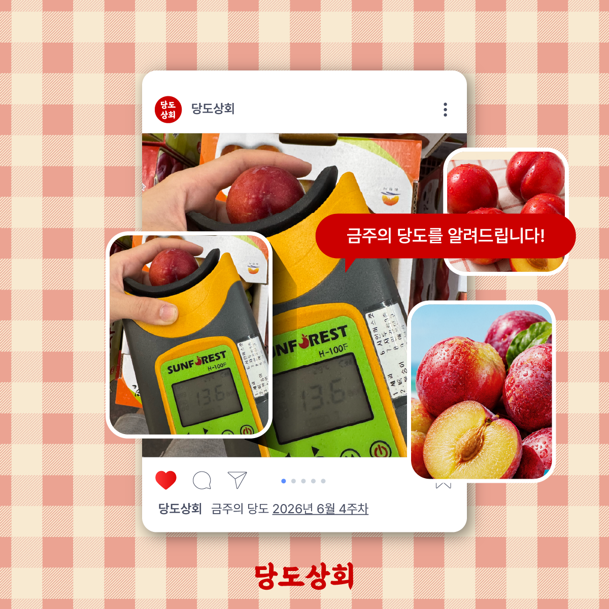 ★주말특가★ [당도상회] 국내산 12브릭스 여름제철 꿀자두 1kg/2kg/5kg