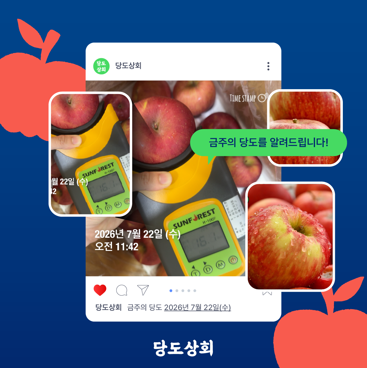 ★리뷰이벤트 ★[당도상회] 15브릭스 보장 경북 고당도 산지직송 부사 사과 1.5kg/3kg/5kg