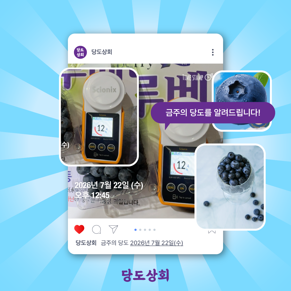 ★리뷰이벤트★ (농할) [당도상회] 국내산 생블루베리 (16MM이상 100g*2팩/4팩/6팩/10팩)