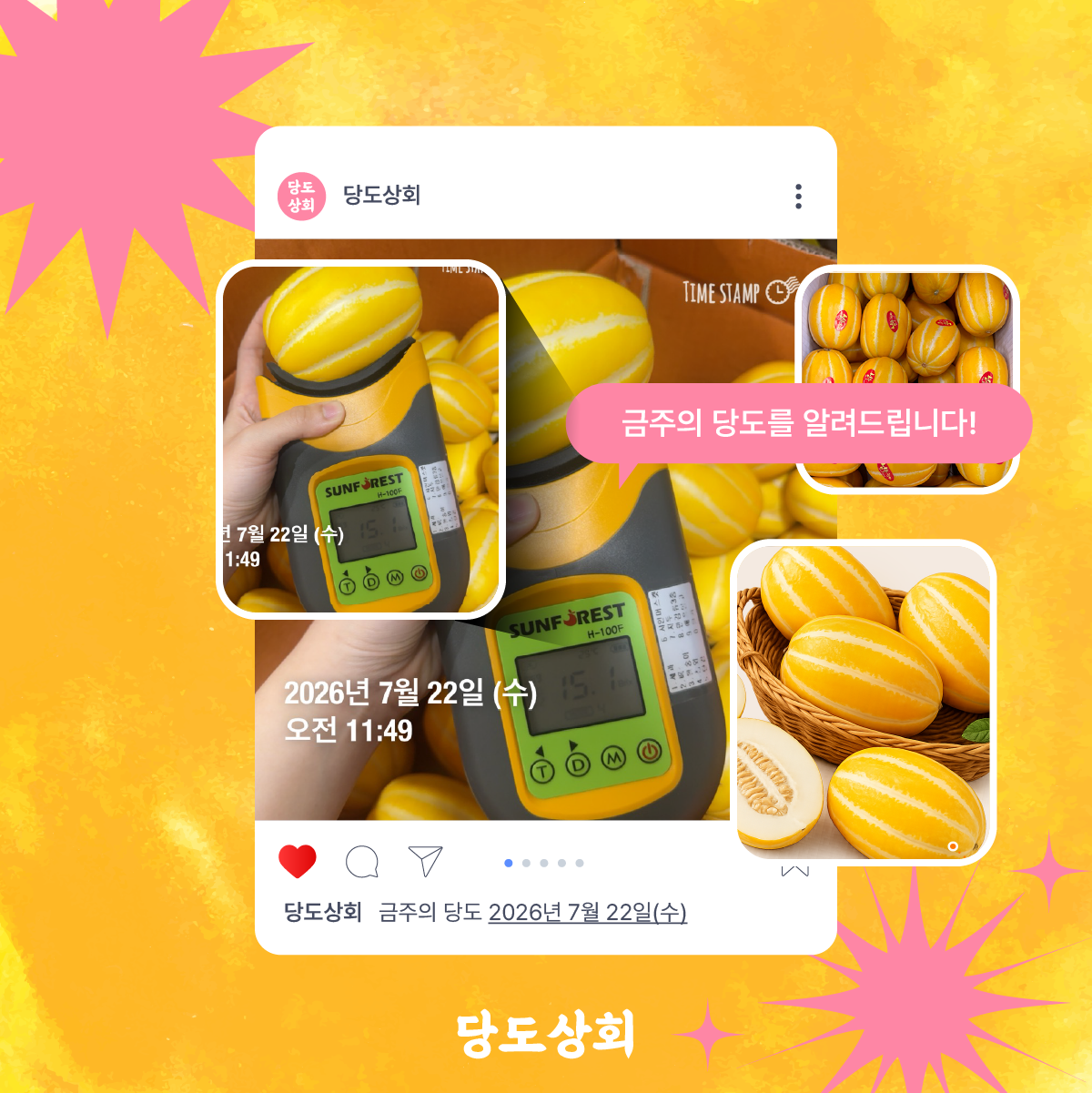 ★리뷰이벤트★ (농할) [당도상회] 15브릭스 보장 성주 참외 고당도 산지직송 꿀참외 1.5kg/3kg/5kg