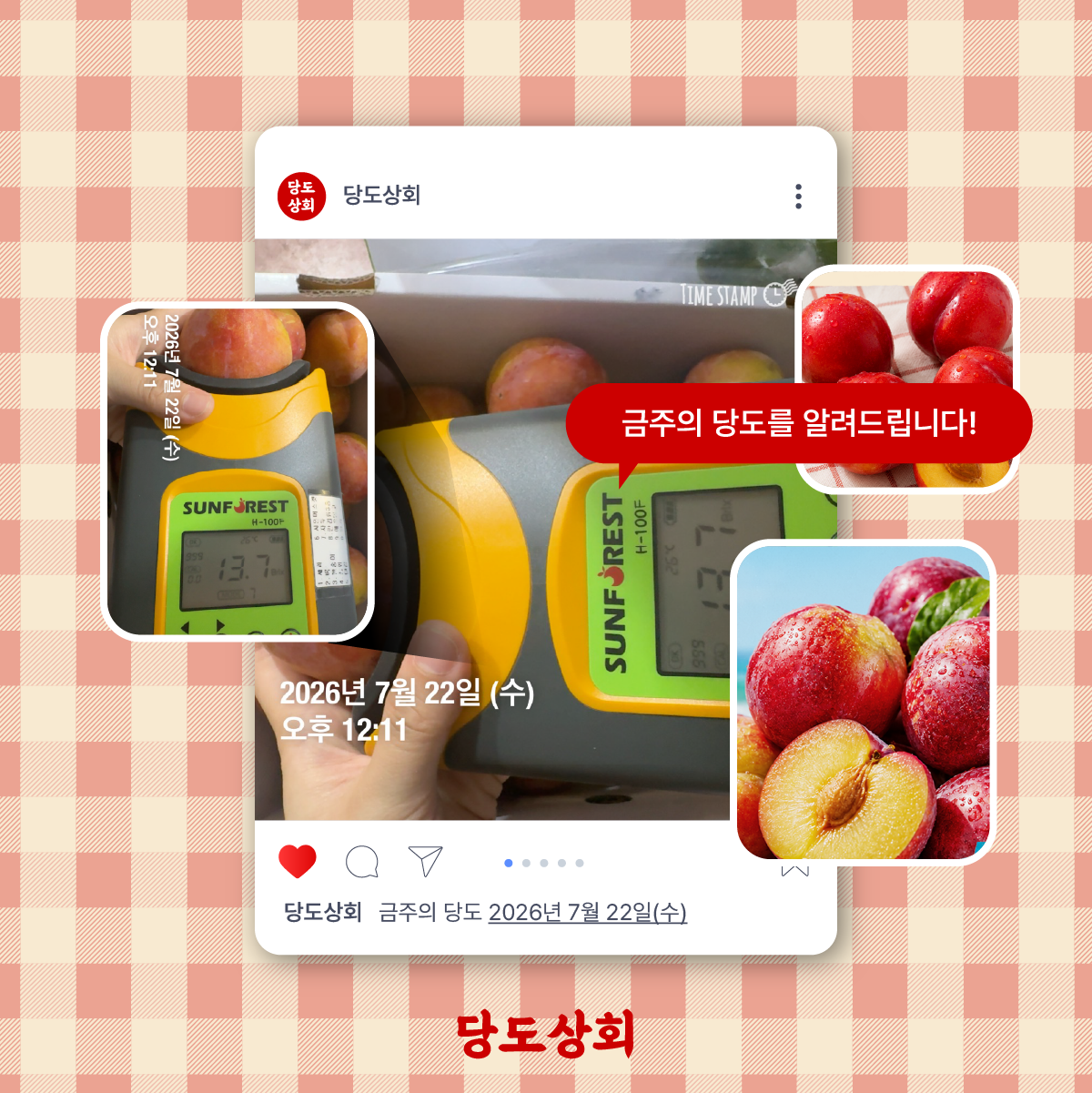 ★리뷰이벤트★ (농할) [당도상회] 국내산 12브릭스 여름제철 꿀자두 500g/2kg