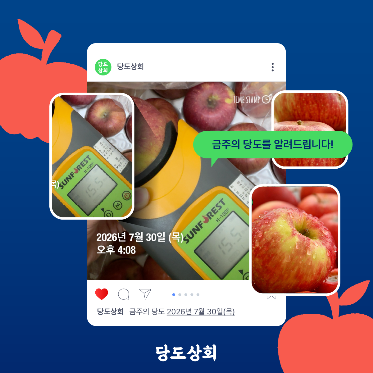 ★리뷰이벤트 ★[당도상회] 15브릭스 보장 경북 고당도 산지직송 부사 사과 1.5kg/3kg/5kg