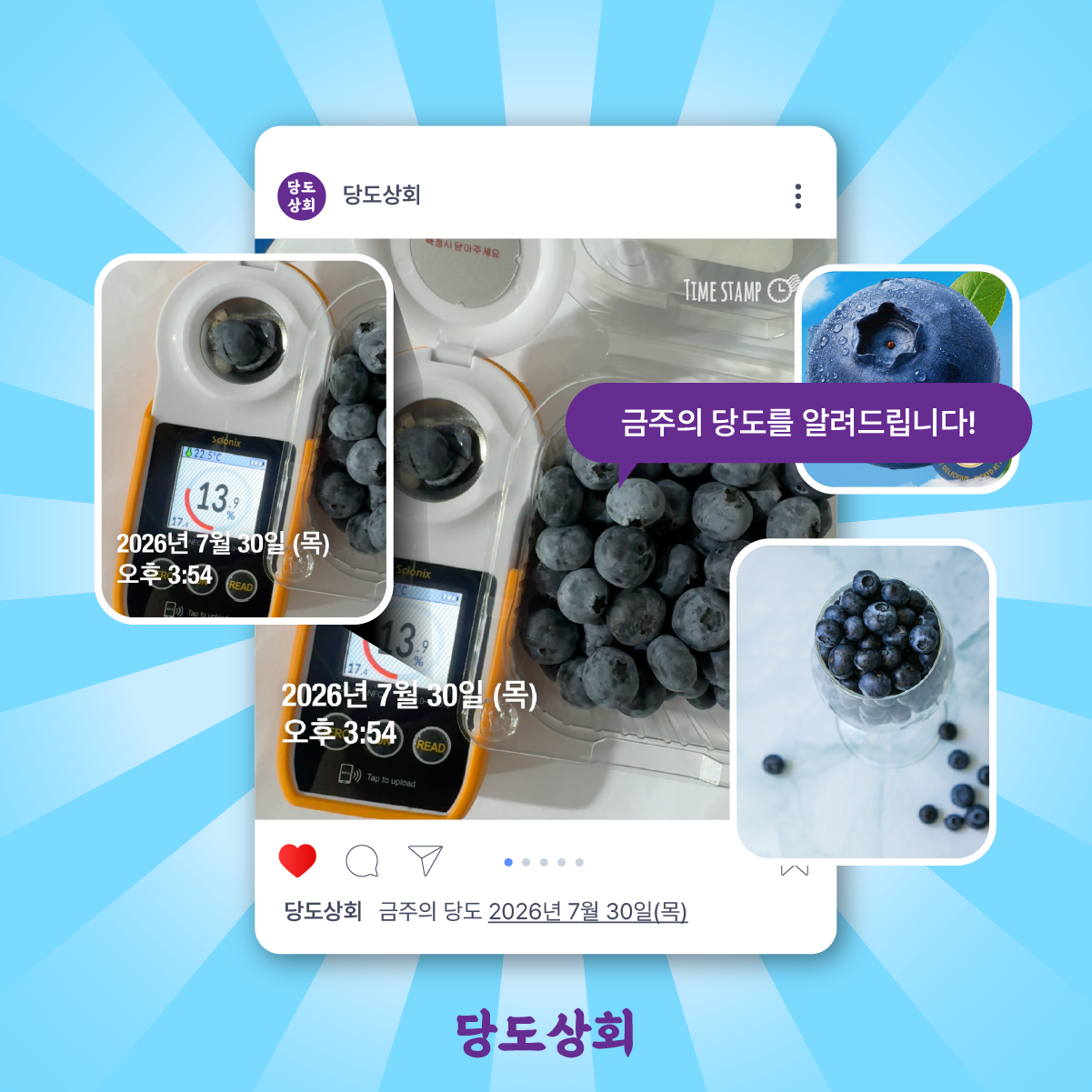 ★리뷰이벤트★ (농할) [당도상회] 국내산 생블루베리 (16MM이상 100g*2팩/4팩/6팩/10팩)